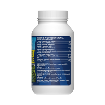 Omega Alpha -  Vitamin B-Complex | 60 Capsules