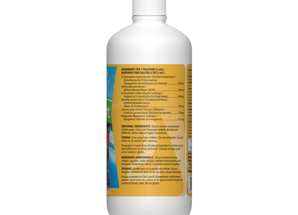 Omega Alpha -  GlucosaJoint, Apple Flavor | 500 mL