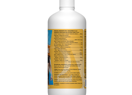 Omega Alpha -  Cal-Mag Plus Orange Flavor | 500 mL