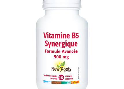 New Roots - Vitamine B5 Formule synergique avancée 500 mg | 180 capsules