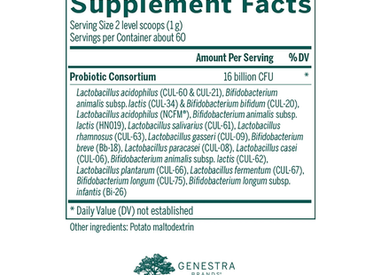 Genestra - HMF Multi Strain Powder | 60 g