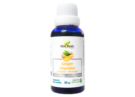 New Roots Ginger Essential Oil