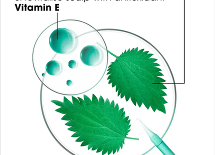 Klorane - Oil Absorbing Dry Shampoo with Nettle for Oily Hair - Brown to Dark Hair | 150 mL