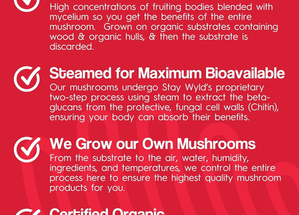 Stay Wyld Organics - Chaga Be Well | 90 gélules