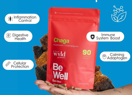 Stay Wyld Organics - Chaga Be Well | 90 gélules