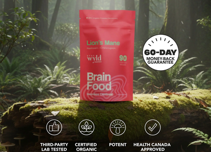 Stay Wyld Organics - Lion's Mane Brain Food | 90 Capsules