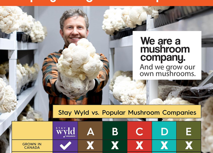 Stay Wyld Organics - Cordyceps Power Up | 90 Capsules