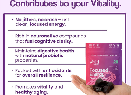 Stay Wyld - Focused Energy Mushroom Gummies | 30 Gummies