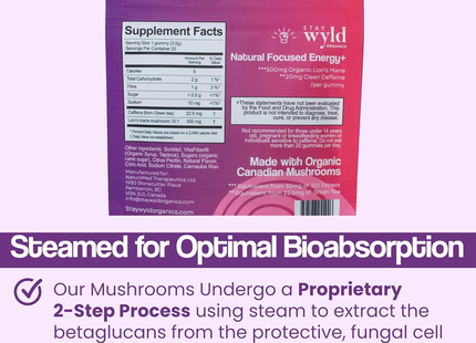 Stay Wyld - Focused Energy Mushroom Gummies | 30 Gummies