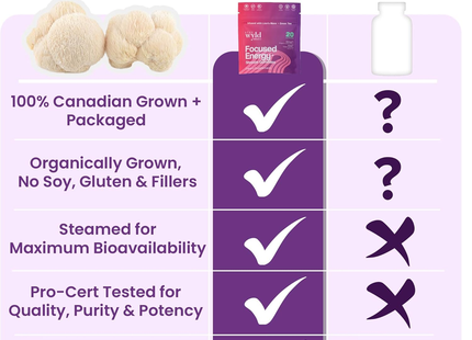 Stay Wyld - Focused Energy Mushroom Gummies | 30 Gummies