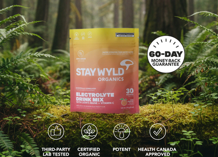 Stay Wyld - Mélange pour boisson électrolytique avec crinière de lion + vitamine C, saveur pêche | 30 portions