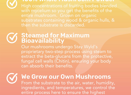 Stay Wyld - Mélange pour boisson électrolytique avec crinière de lion + vitamine C, saveur pêche | 30 portions