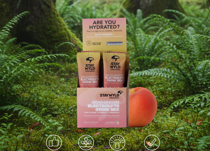 Stay Wyld - Bâtonnets pour boisson électrolytique, saveur pêche | Paquet de 20