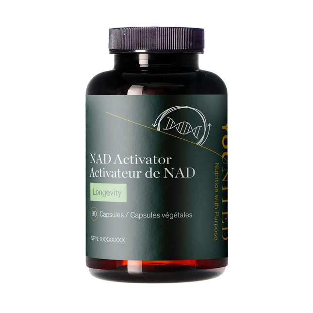 Younited - Activateur NAD pour la longévité | 90 gélules végétales