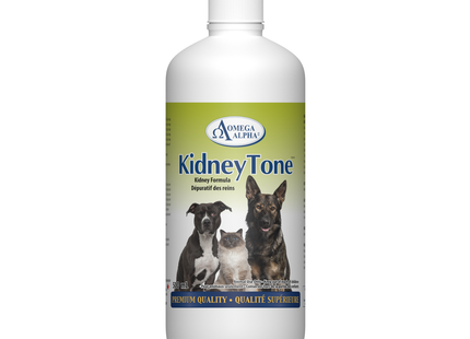 Omega Alpha -  KidneyTone | 500 mL