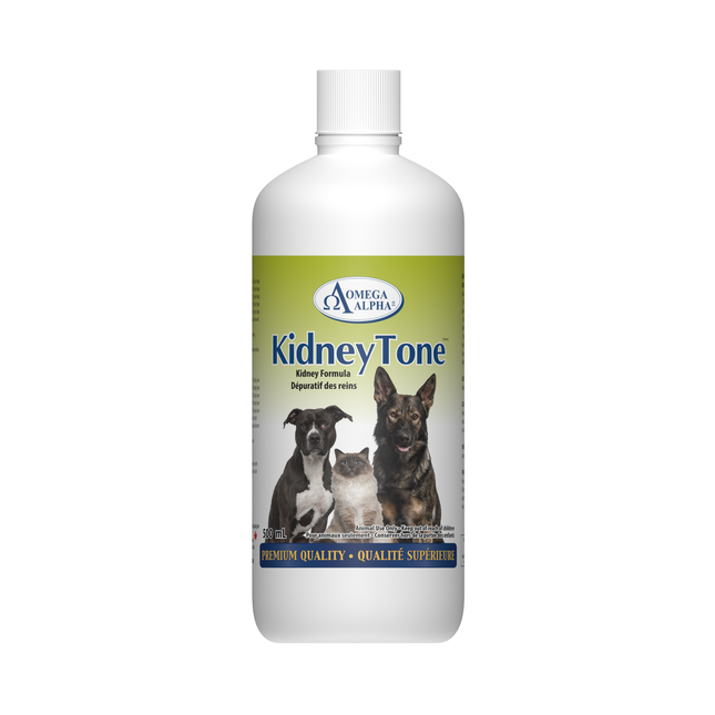 Omega Alpha -  KidneyTone | 500 mL