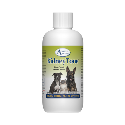 Omega Alpha -  KidneyTone | 120 mL