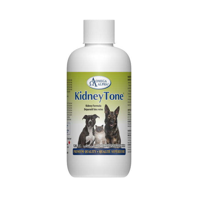 Omega Alpha -  KidneyTone | 120 mL