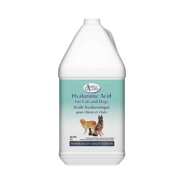 Omega Alpha -  Hyaluronic Acid For Cats and Dogs | 4 L