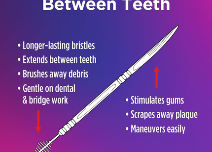 The Doctor's - Brush Picks Interdental Toothpicks | 250 Picks