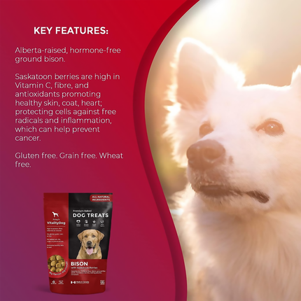 Foley's - Friandises pour chiens cuites au four de qualité supérieure - Bison aux baies de Saskatoon | 400g