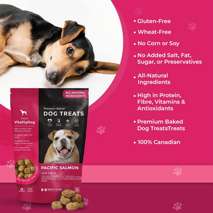 Foley's - Friandises pour chiens cuites au four de qualité supérieure - Saumon du Pacifique avec carottes | 400g