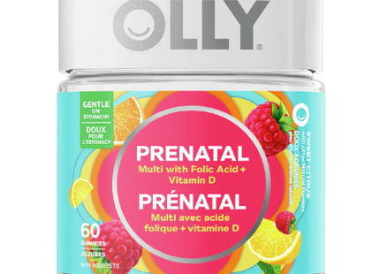 Olly - Prenatal Multi - Sweet Citrus | 60 Gummies