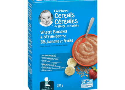 Gerber - Cereals for Baby, Wheat Banana & Strawberry | 227 g