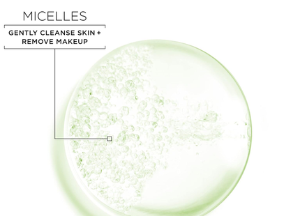 Garnier - SkinActive Micellar Water, Oily Skin | 400 mL