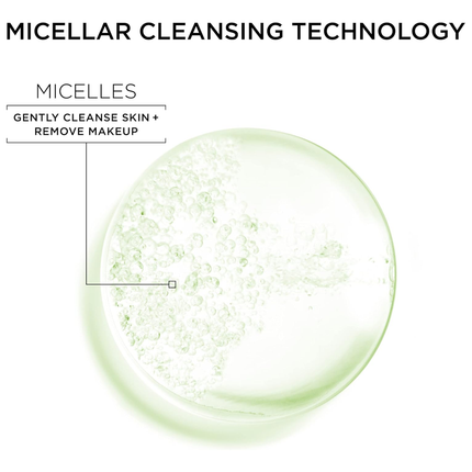 Garnier - SkinActive Micellar Water, Oily Skin | 400 mL