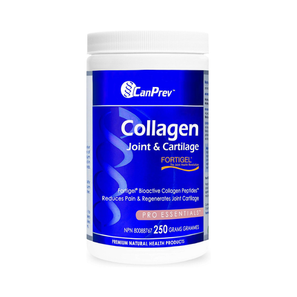 CanPrev - Poudre de collagène pour articulations et cartilage | 250 g