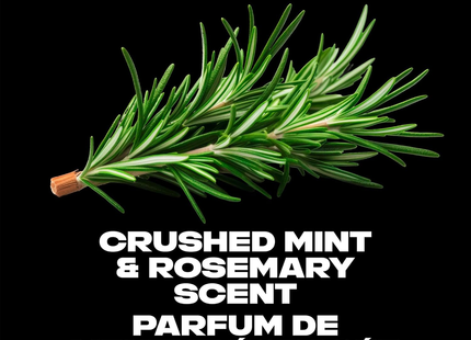 Axe - Phoenix Gel Douche Parfum Rafraîchissant 12H - Menthe & Romarin Broyés | 473 mL