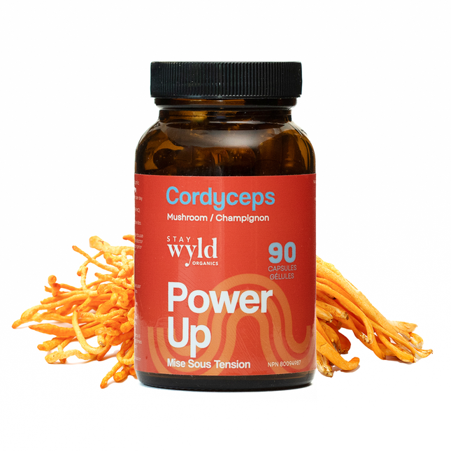 Stay Wyld Organics - Cordyceps | 90 Capsules