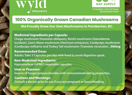 Stay Wyld Organics - Daily Defend 5-Blend Mushrooms | 90 Capsules