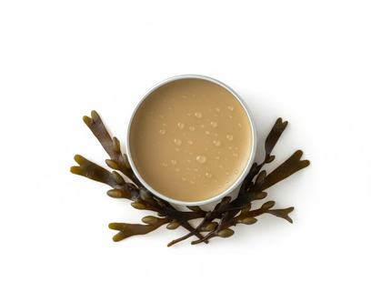 Nova Scotia Fisherman - Pet Balm | 28 g
