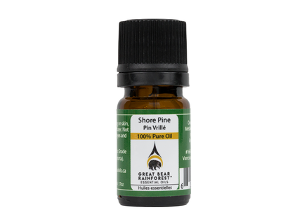 Great Bear Rainforest - Pure Pine Essential Oil | 5 mL