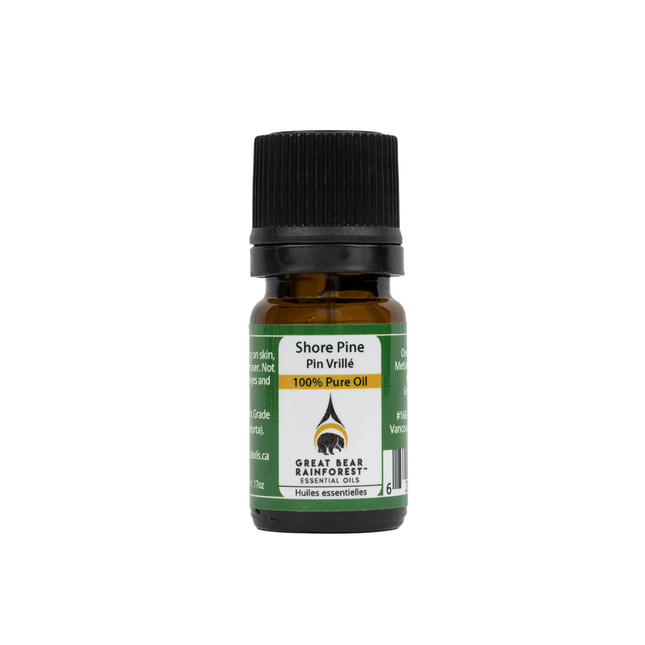 Great Bear Rainforest - Pure Pine Essential Oil | 5 mL