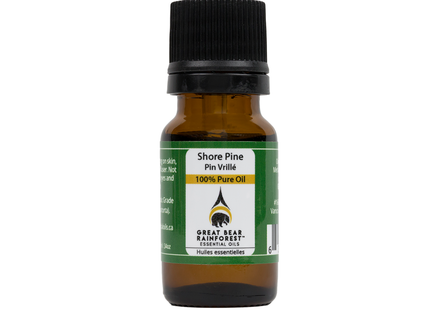 Huile essentielle de pin pur de la forêt tropicale Great Bear | 10 ml