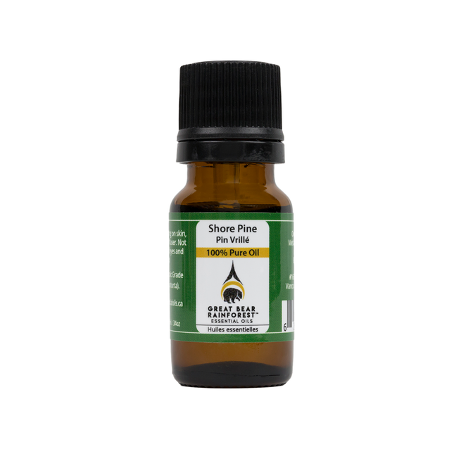 Great Bear Rainforest - Pure Pine Essential Oil | 10 mL