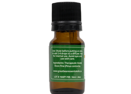 Huile essentielle de pin pur de la forêt tropicale Great Bear | 10 ml