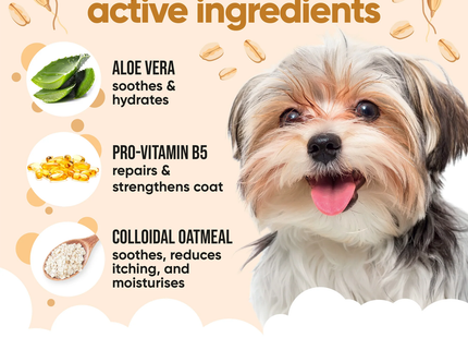 Buddycare - Gentle Dog Shampoo with Oatmeal and Aloe Vera | 500 mL
