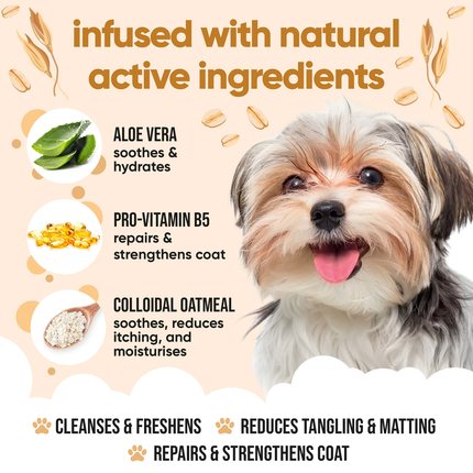 Buddycare - Shampoing doux pour chien à l'avoine et à l'Aloe Vera | 500 mL