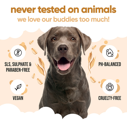 Buddycare - Shampoing doux pour chien à l'avoine et à l'Aloe Vera | 500 mL