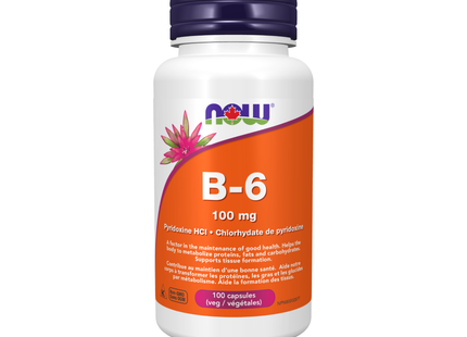 NOW Vitamin B6 100mg | 100 Caps