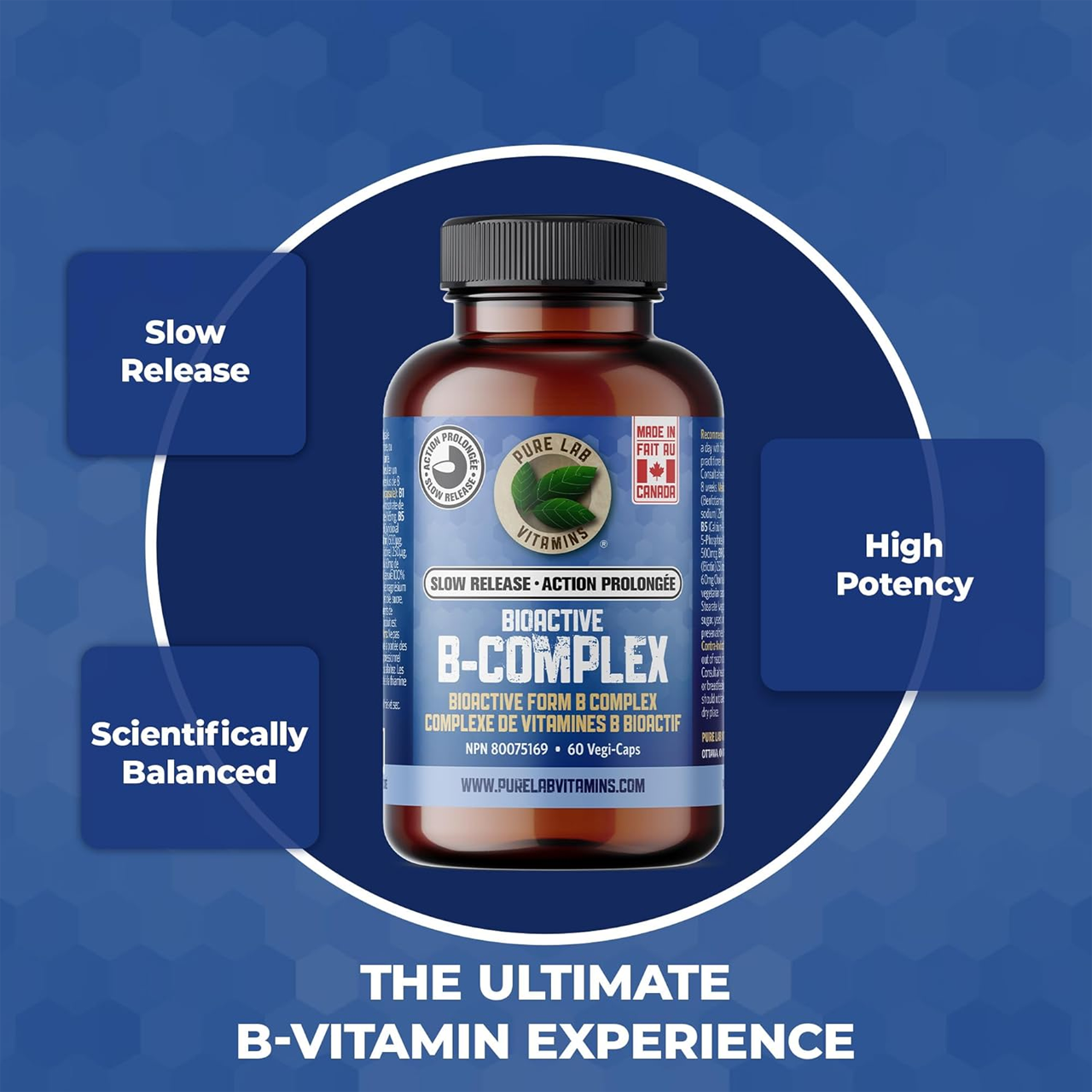 Pure Lab - Bioactive B Complex, Slow Release | 60 Capsules – White ...