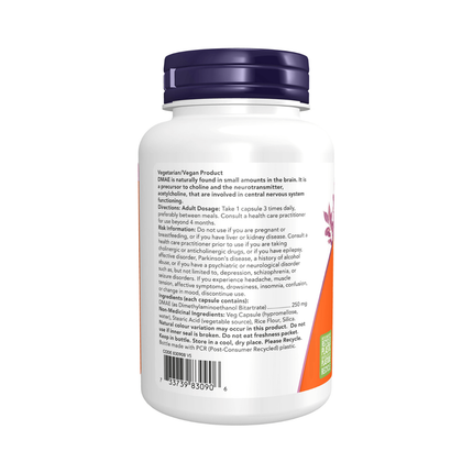 NOW - DMAE 250 mg | 100 Veg Capsules