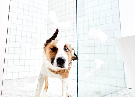 The Unscented Co. - The Patch, Dog Shampoo Bar | 100 g