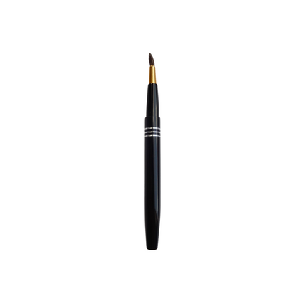 Kit - Retractable Lip Brush