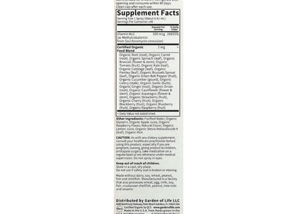 Garden of Life - Organics B-12 Organic Spray, Raspberry | 58 mL